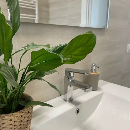 Apartamento La Terrazza Roma